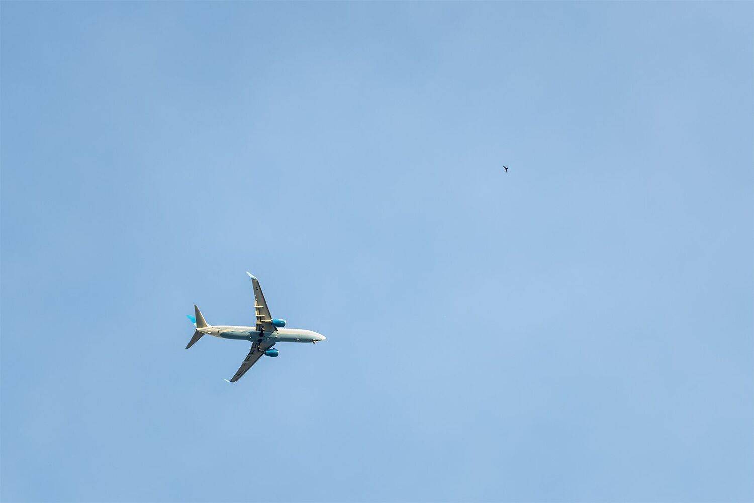 , Шурчков Юрий