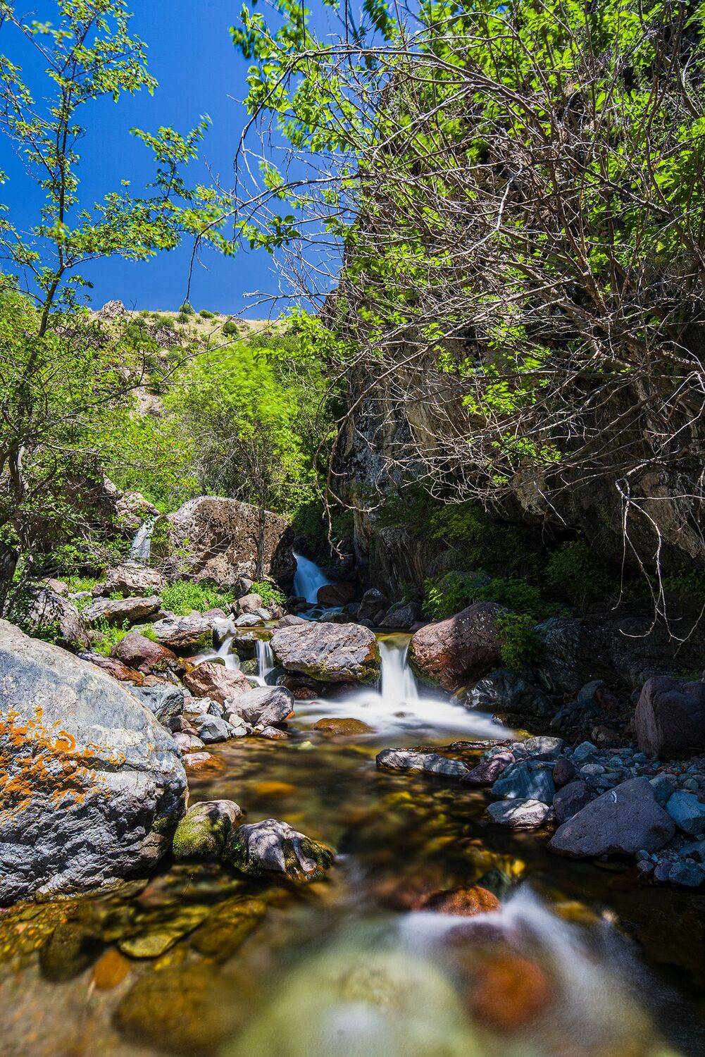 , Abdulrahman Sawalha