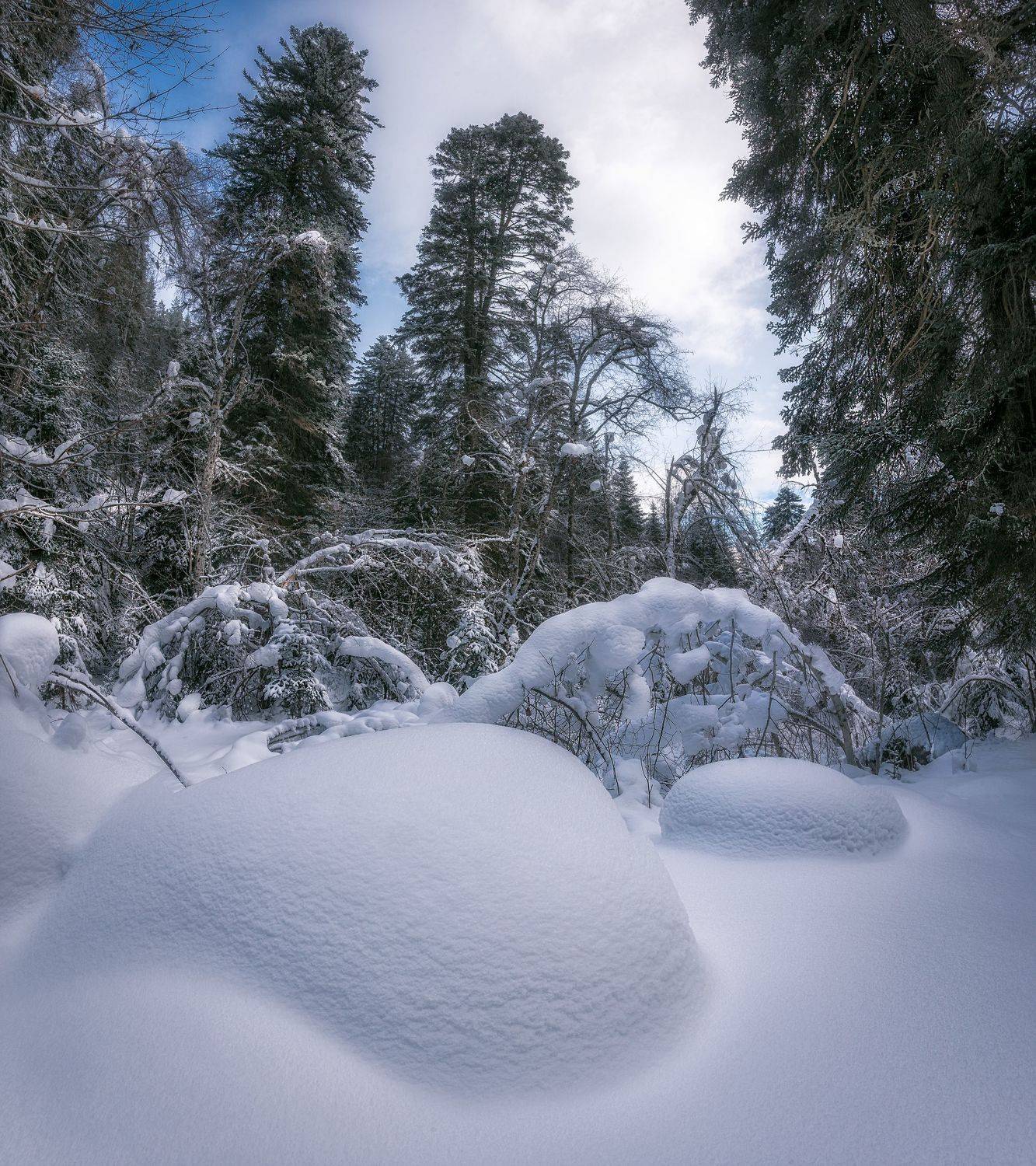 , Наргиза Кахарова