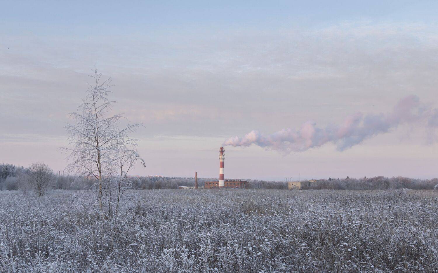 , Ольга Бонина