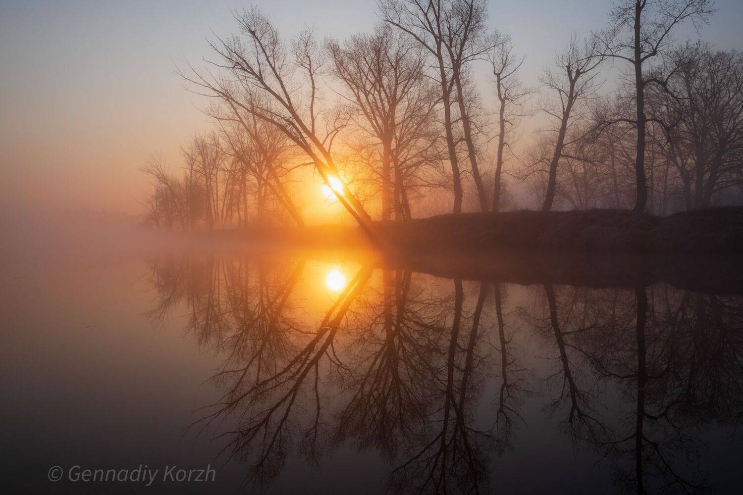 , Gennadiy Korzh