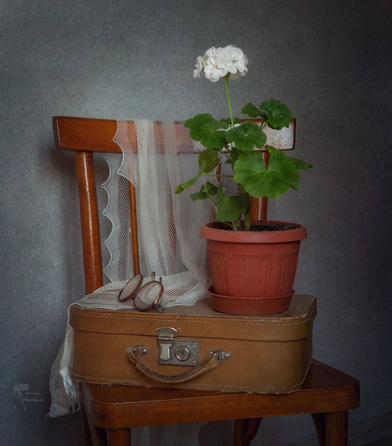 , Инна Сухова