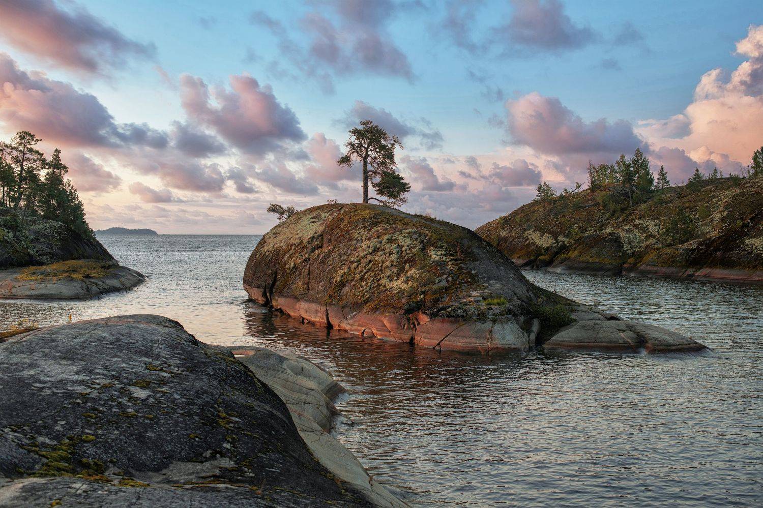 кит, пейзаж, ладога, остров, Третьякова Анастасия