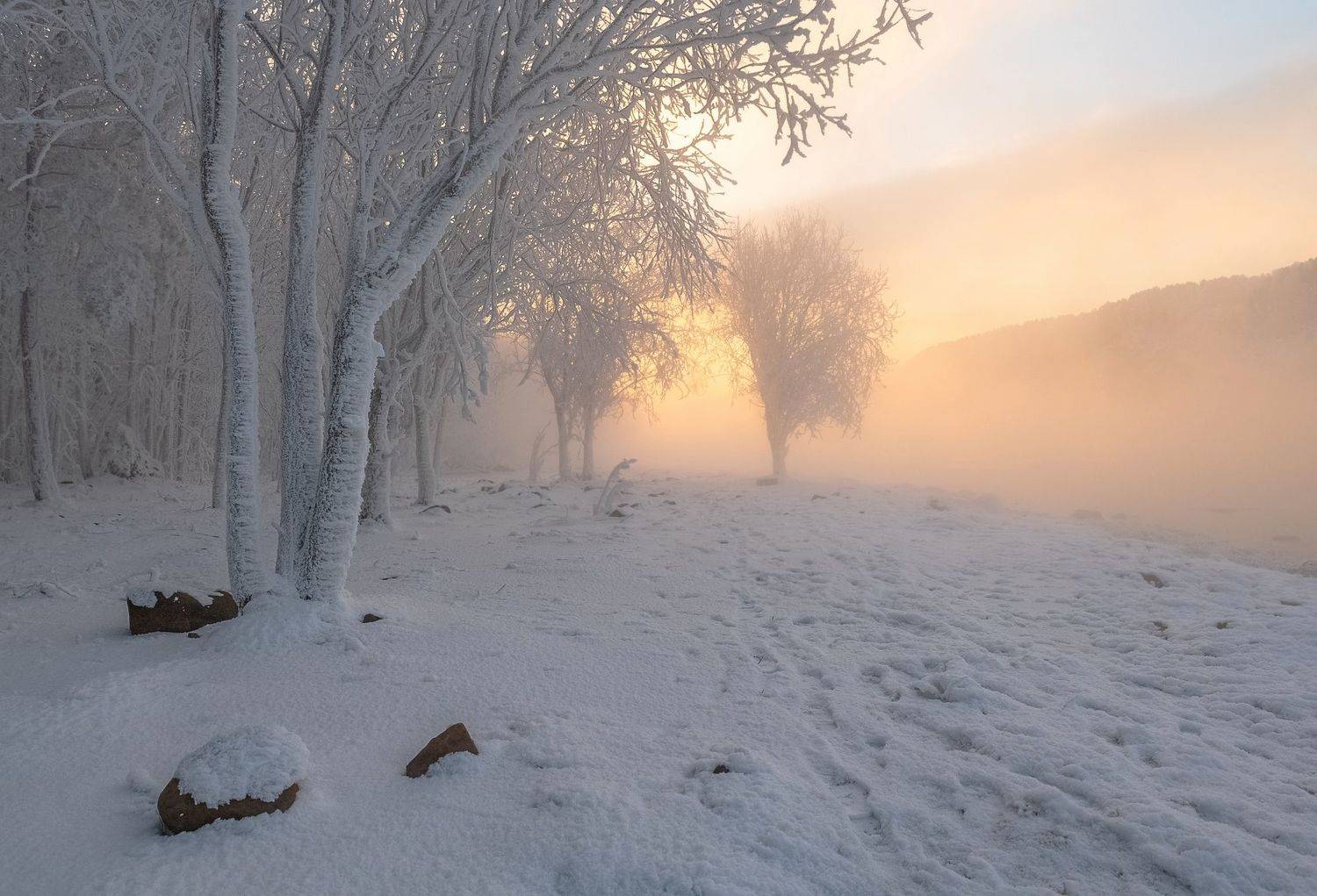 зима, берег, мороз, иней, Фомина Марина