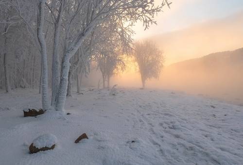 Морозное дыхание реки