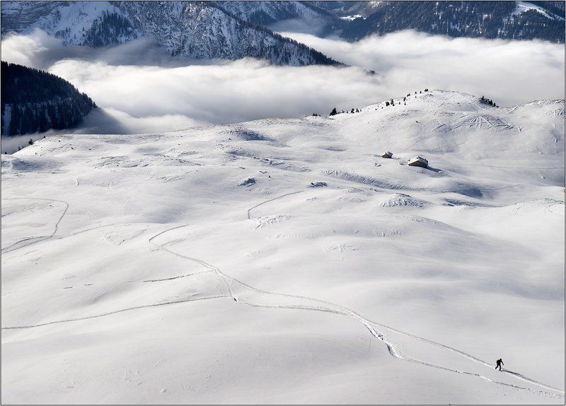 Алитет фото превью