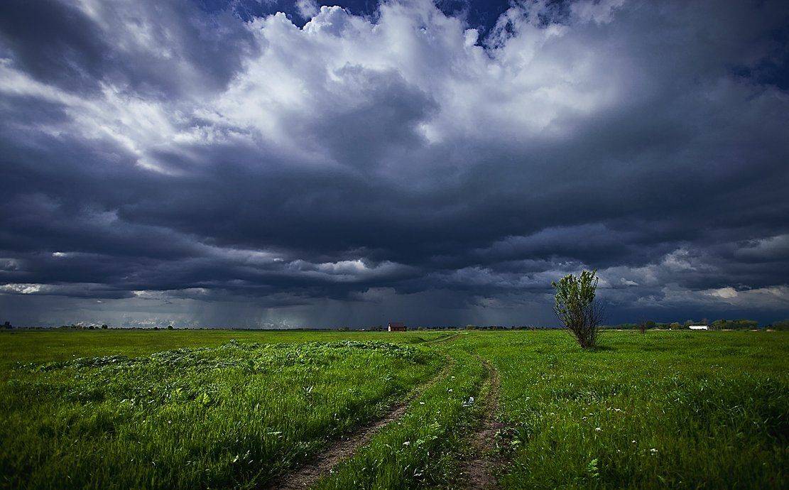 , Владимир Осауленко