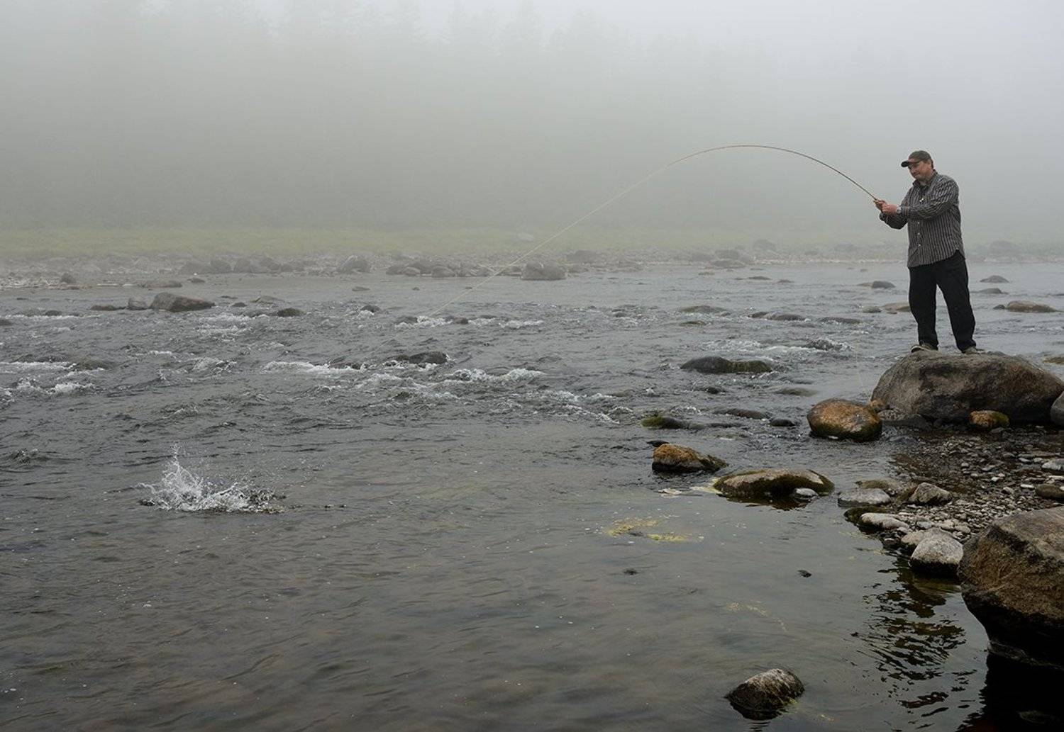 , Владимир Пчелинцев