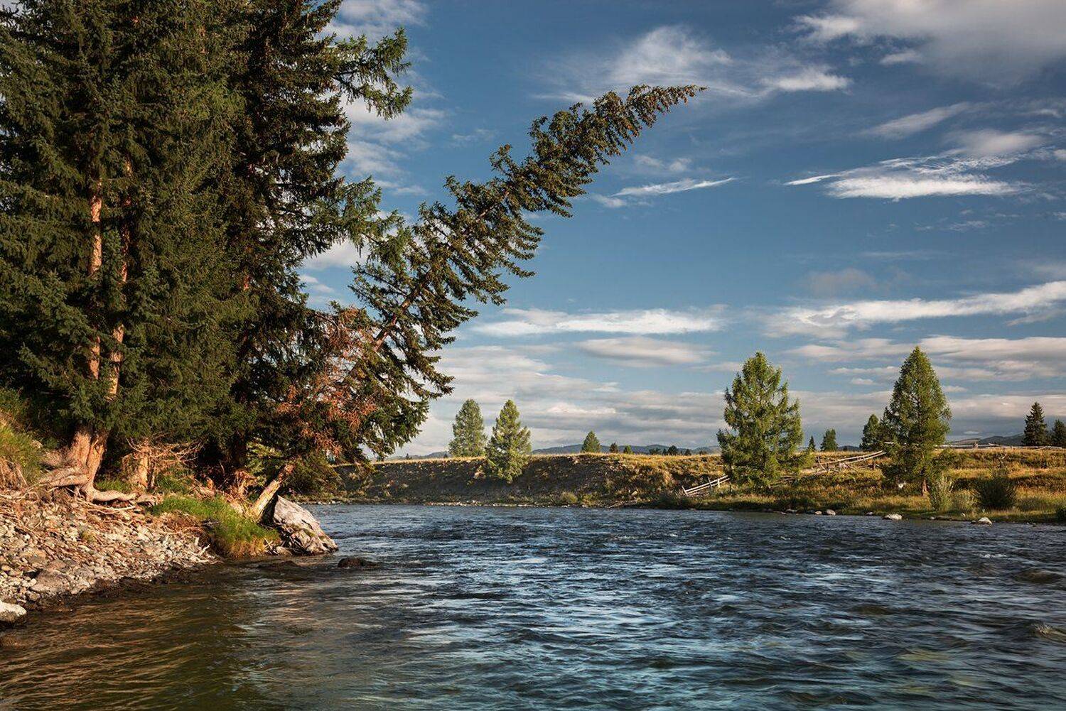 Алтай, Башкаус, Берег, Большой, Вода, Высокий, Горы, Красивая, Лес, Небо, Облака, Падает, Пейзаж, Природа, Река, Сибирь, Сосна, Течение, Холодная, Чистая, Дмитрий Антипов