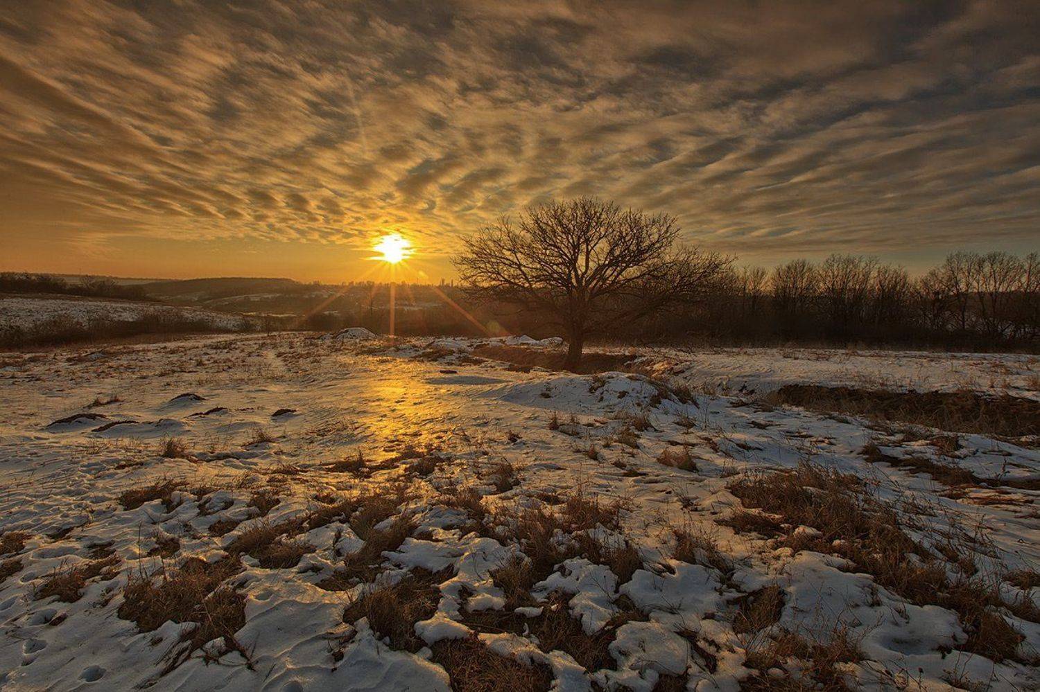 , Петр Антонович