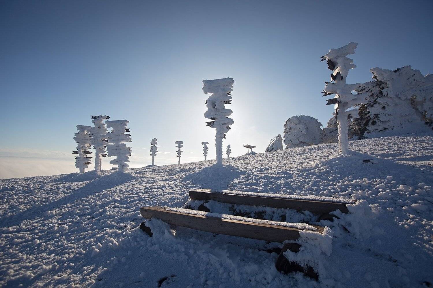 Машук, Пятигорск, Коркин Вадим