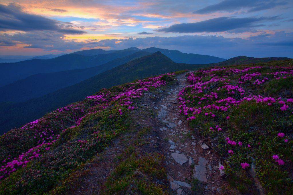 , Ярослав Тюрменко (Jaremi)