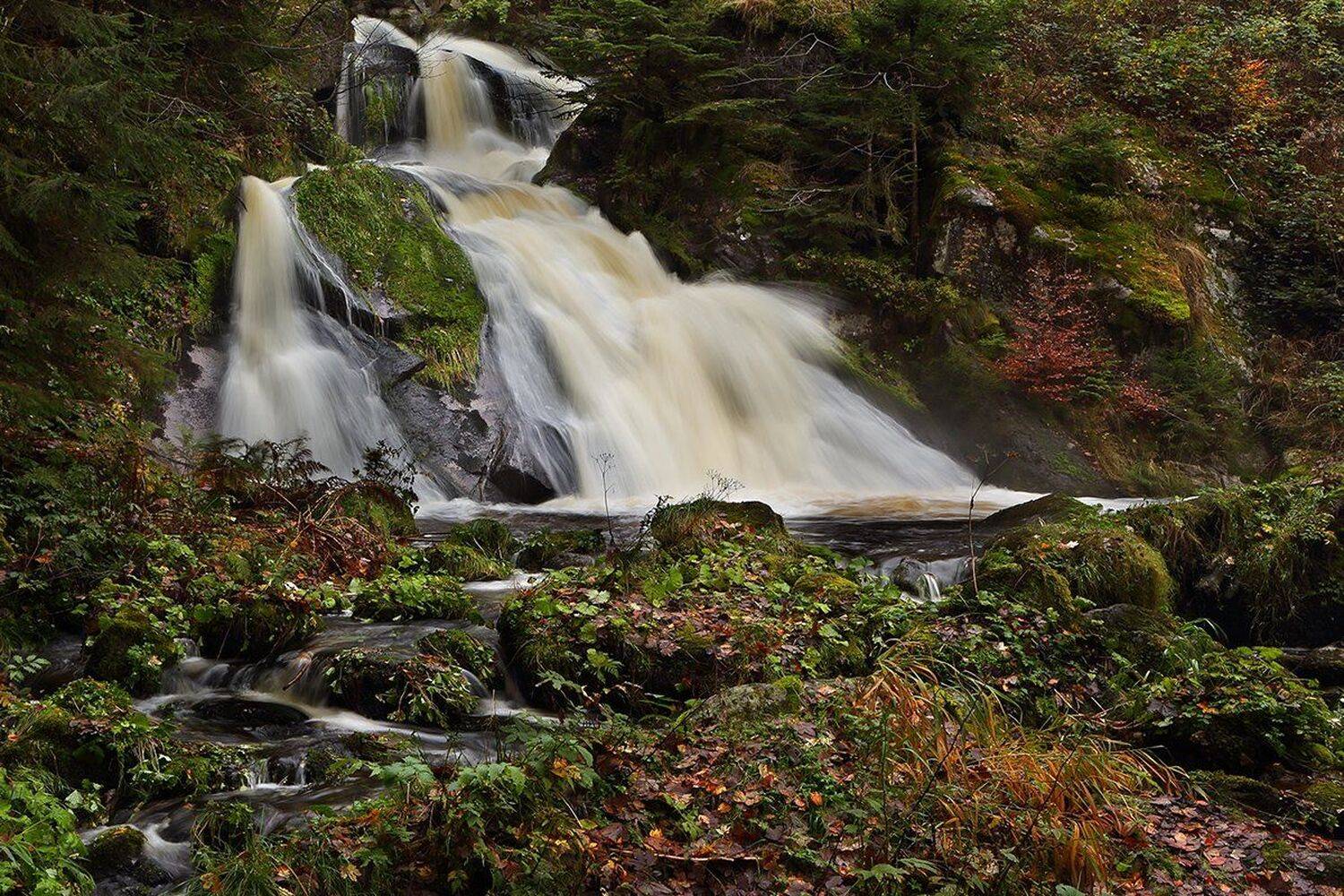 , Игорь Дубровский