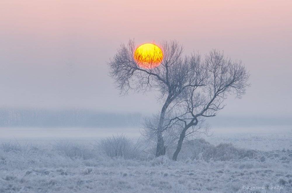 , Katarzyna Gritzmann