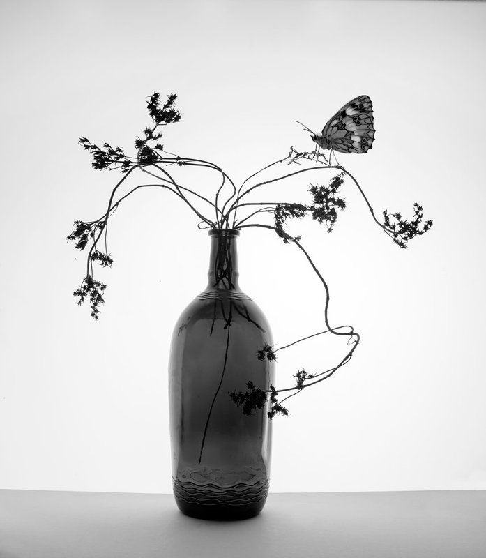 *** фото превью