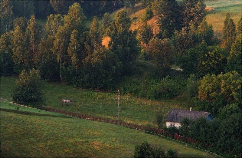 утро полесского хуторка... фото превью