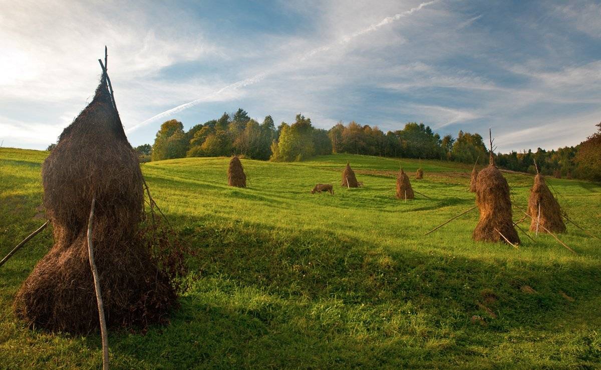 , Валерий Смирнов