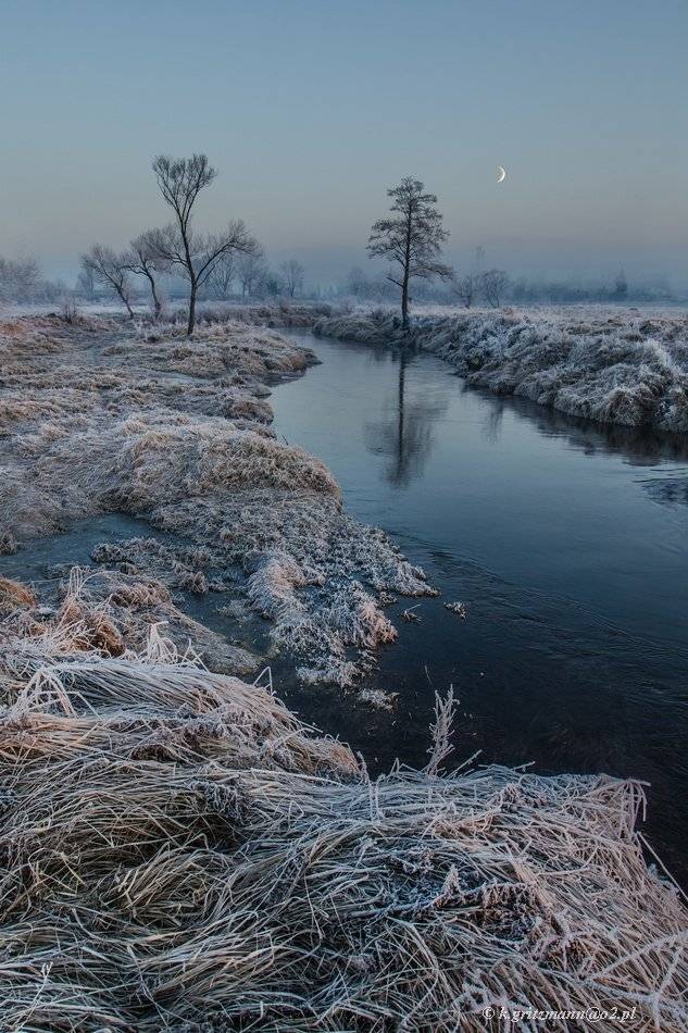 , Katarzyna Gritzmann