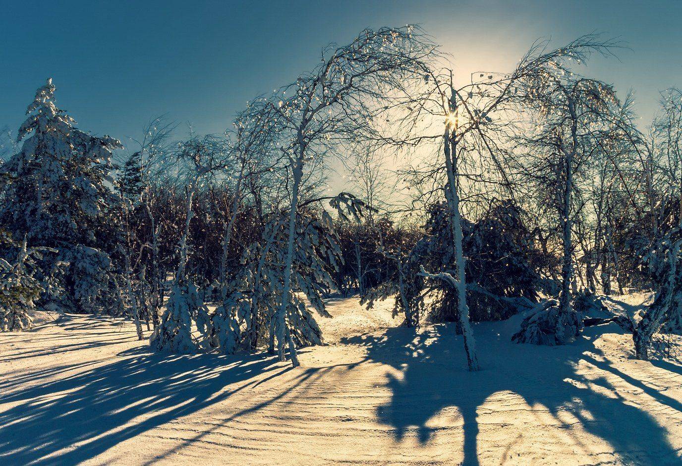 , Игорь Мелекесцев
