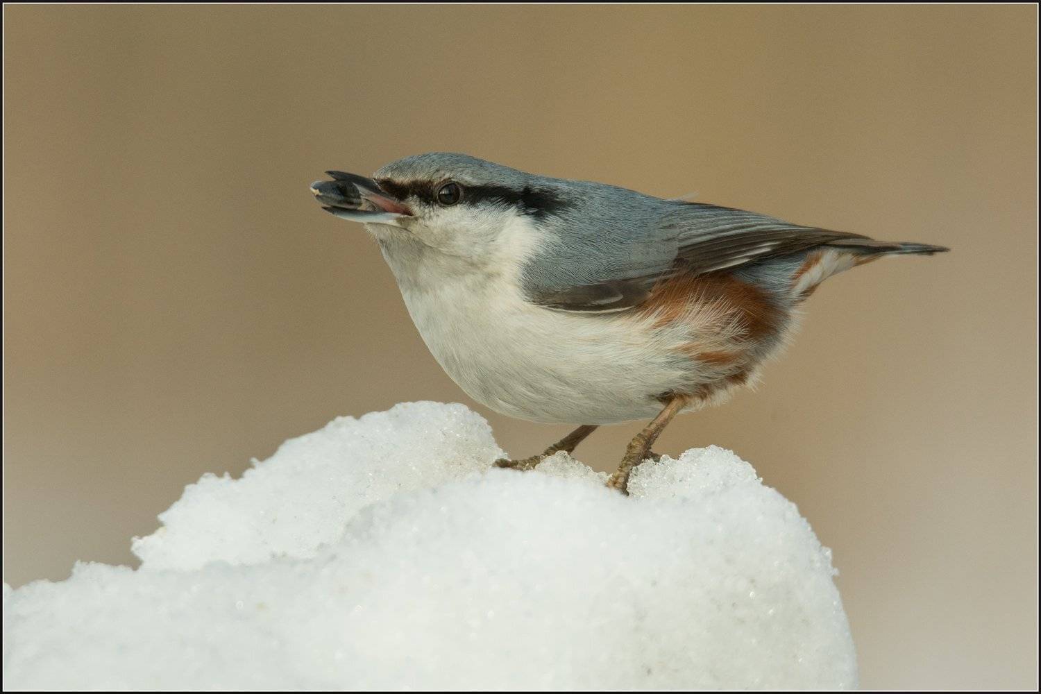 , Валерий Субачев