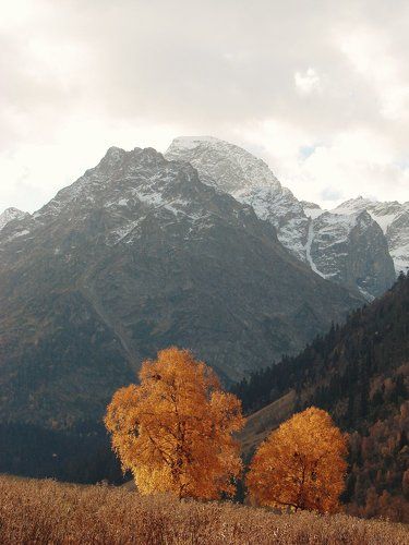 Архыз. Золотая осень.
