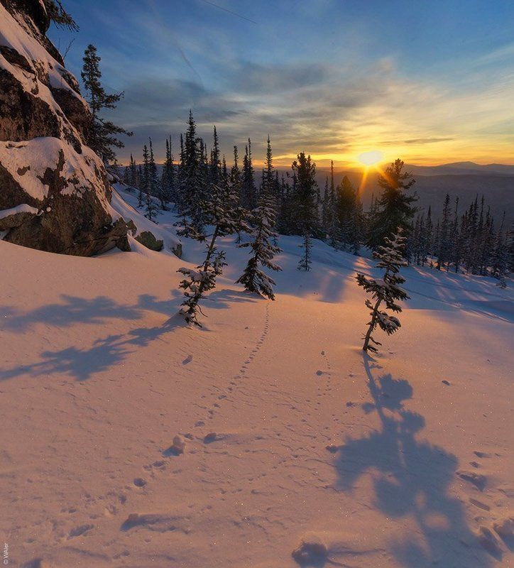 горная, зима, рассвет, шория PRO Утро у скал фото превью