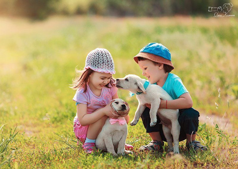 дети, детская фотосессия, мальчик и девочка, фотограф колчина ольга, фотосессия с щенками Первая любовь фото превью