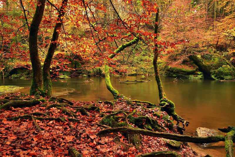 autumn фото превью