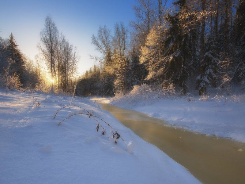 Невский лесопарк. фото превью