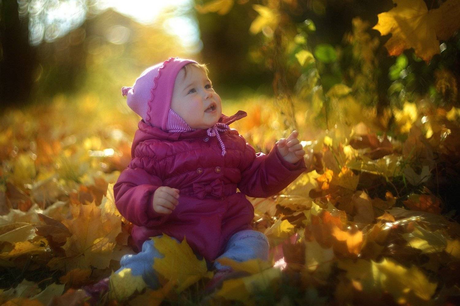 , Алексей Никонов