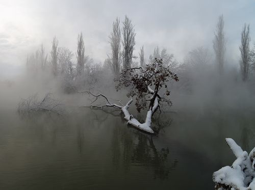 Холодное утро