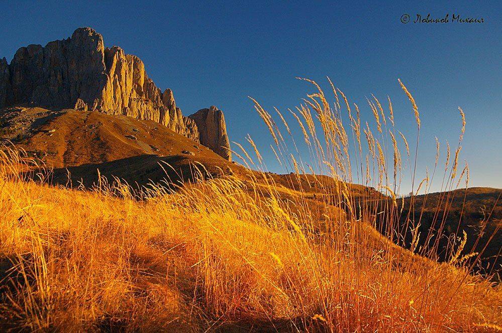 , Ловиков Михаил