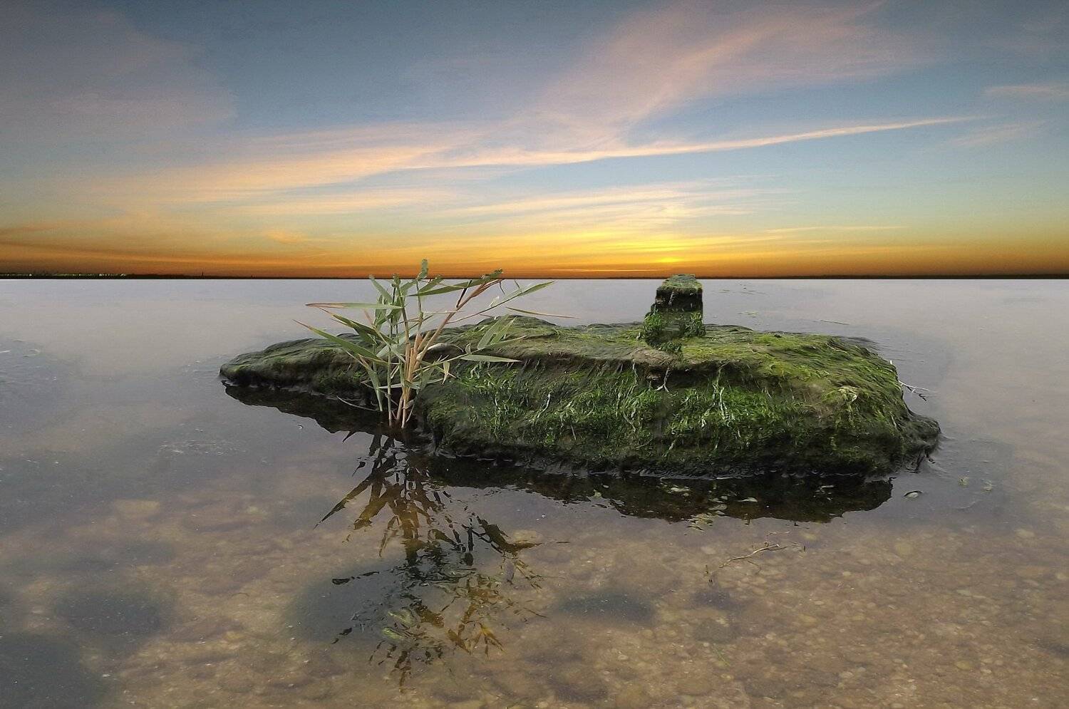 одесса, Сергей Кошелев