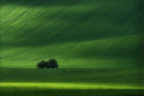 / Водный мир /