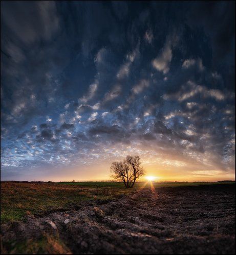 Лучи заката догорали...