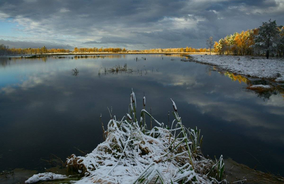 , Николай Морский