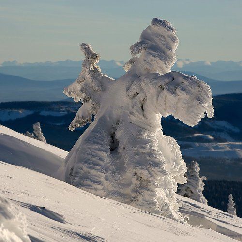 Праздничный военно-патриотический этюд