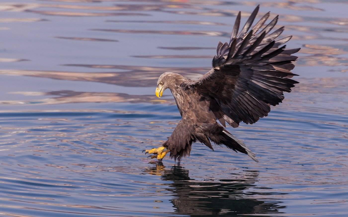 , Евгений Слободской