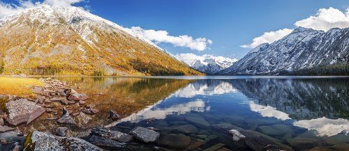 Мульта