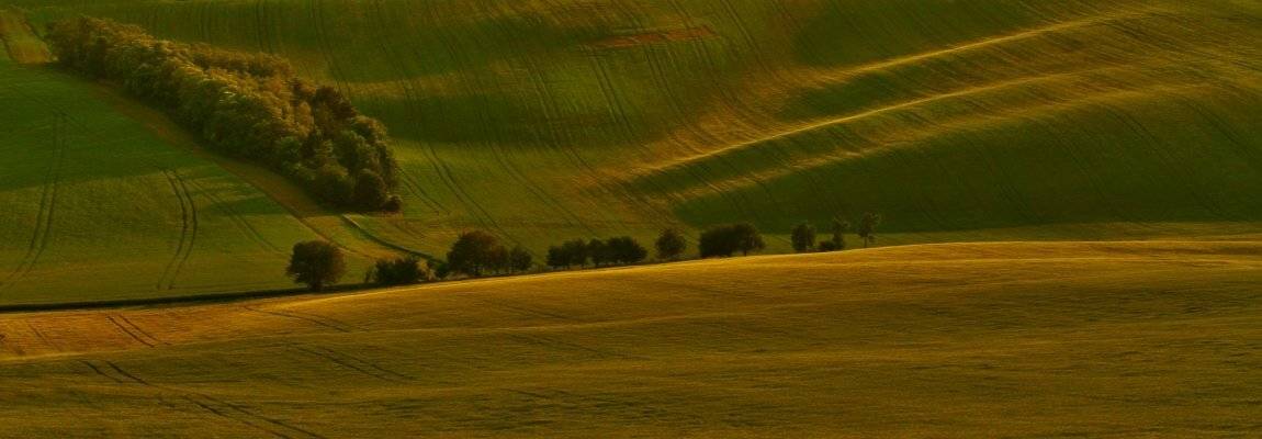 , Franti&scaron;ek Uhler