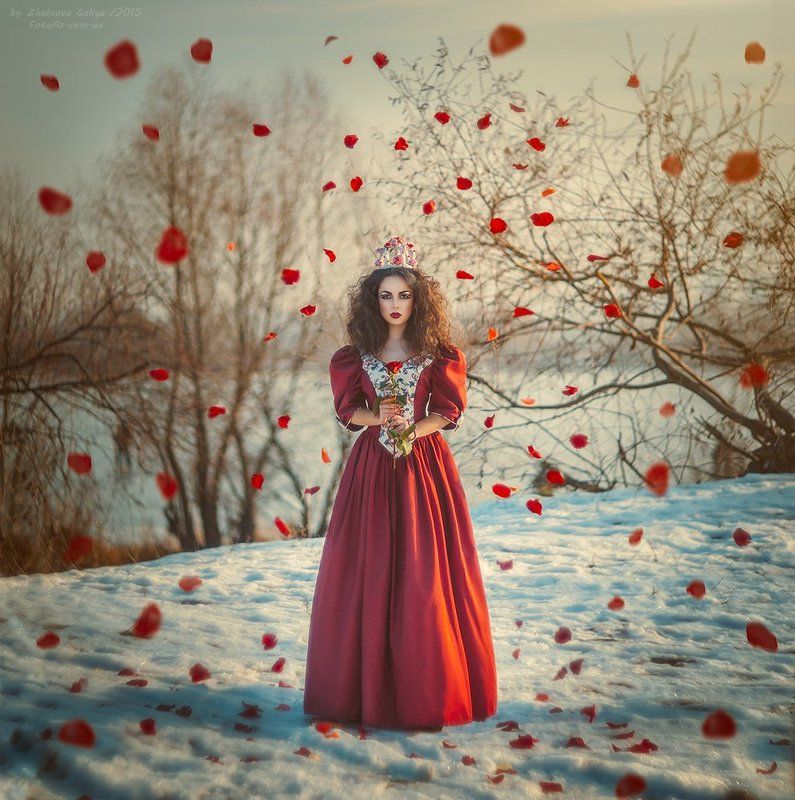 Девушка, Лепестки, Роза, Снег ... фото превью