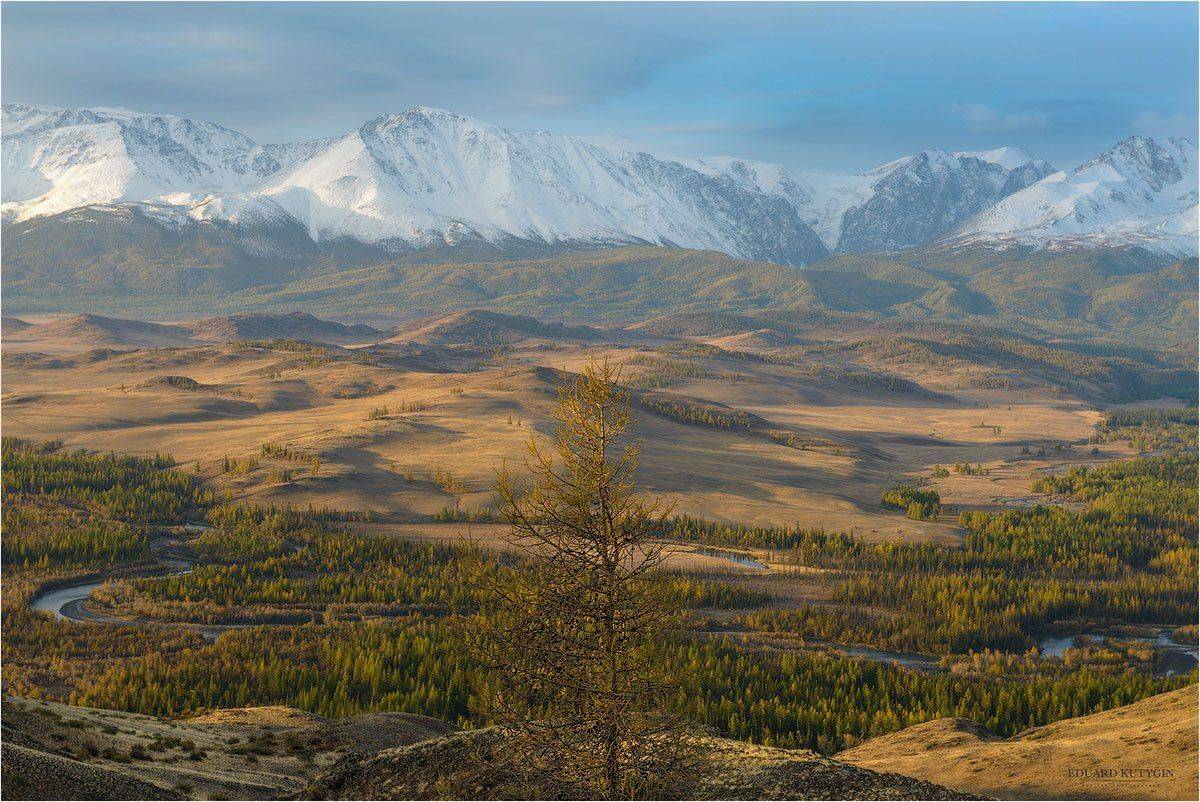 Алтай., Горный алтай, Курай., Курайская степь, Лиственница, Меандры, Осень., Простор, Северо-чуйский, Сентябрь, Утро, Хребет каратюрек, Хребет., Чуя., Кутыгин Эдуард