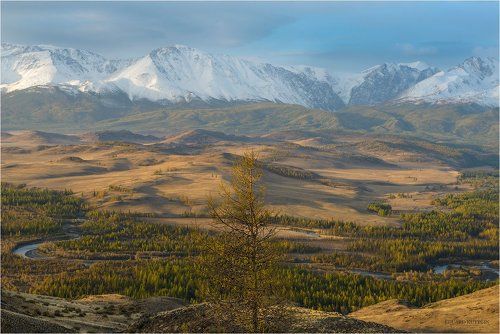 Застывшая тишина