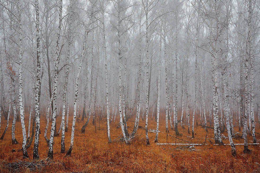 Башкирия, Зилаир, Качурин алексей, Оренбургская область, Орск, Осень, Качурин Алексей
