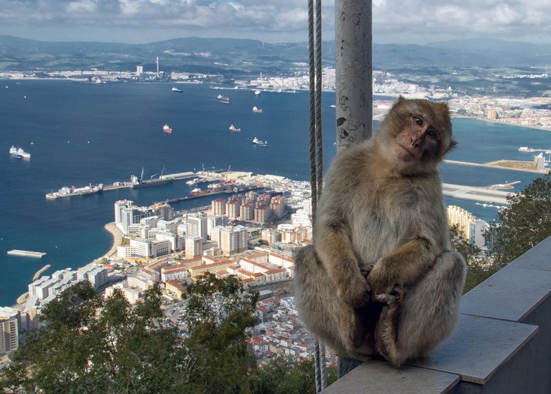 Gibraltar фото превью