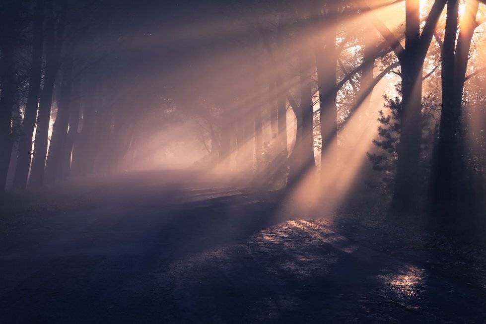 , Вячеслав Мищенко