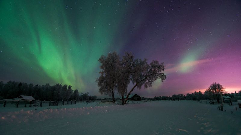 На ферме фото превью
