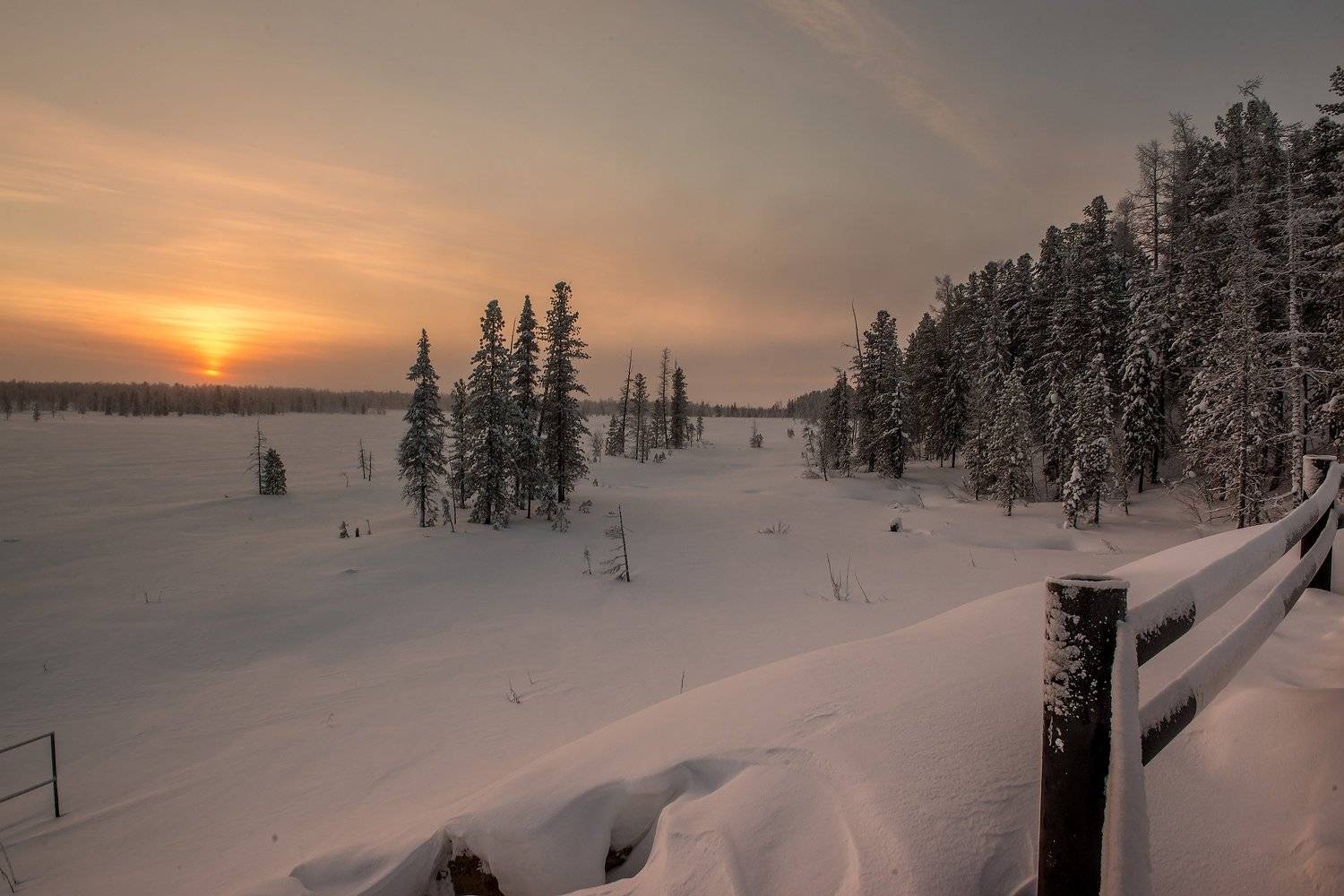 , Тушин Алексей