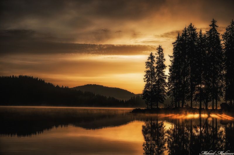 Forest, Gold, Lake, Landscape, Mountain, Sunrise Gold morning фото превью