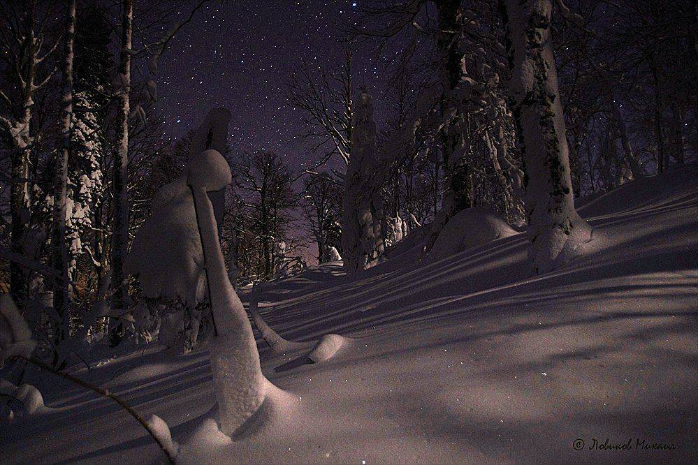 , Ловиков Михаил